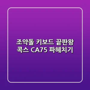 조약돌 키보드 끝판왕? 콕스 CA75 파헤치기