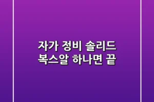자가 정비, 솔리드 복스알 하나면 끝!