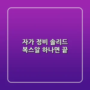 자가 정비, 솔리드 복스알 하나면 끝!