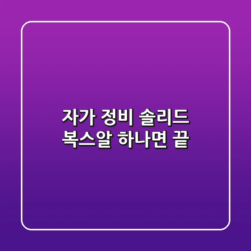 자가 정비, 솔리드 복스알 하나면 끝!