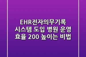 EHR(전자의무기록) 시스템 도입, 병원 운영 효율 200% 높이는 비법