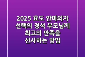 2025 효도 안마의자 선택의 정석: 부모님께 최고의 만족을 선사하는 방법