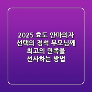 2025 효도 안마의자 선택의 정석: 부모님께 최고의 만족을 선사하는 방법
