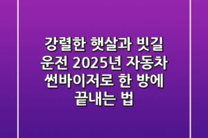 강렬한 햇살과 빗길 운전, 2025년 자동차 썬바이저로 한 방에 끝내는 법!