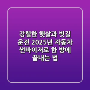 강렬한 햇살과 빗길 운전, 2025년 자동차 썬바이저로 한 방에 끝내는 법!