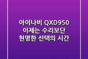 아이나비 QXD950, 이제는 수리보단 현명한 선택의 시간?