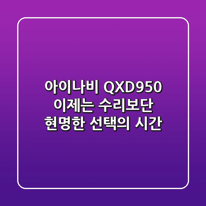 아이나비 QXD950, 이제는 수리보단 현명한 선택의 시간?