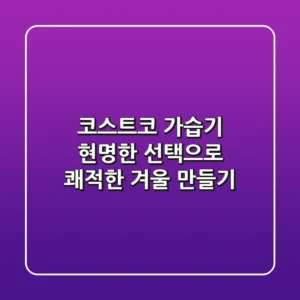 코스트코 가습기, 현명한 선택으로 쾌적한 겨울 만들기