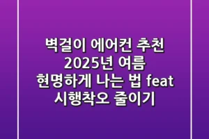 벽걸이 에어컨 추천, 2025년 여름 현명하게 나는 법 (feat. 시행착오 줄이기)