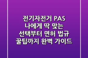 전기자전거 PAS: 나에게 딱 맞는 선택부터 면허, 법규, 꿀팁까지 완벽 가이드