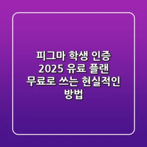 피그마 학생 인증 2025: 유료 플랜 무료로 쓰는 현실적인 방법
