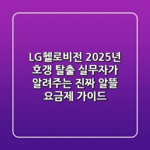 LG헬로비전, 2025년 호갱 탈출: 실무자가 알려주는 진짜 알뜰 요금제 가이드