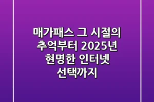 매가패스, 그 시절의 추억부터 2025년 현명한 인터넷 선택까지