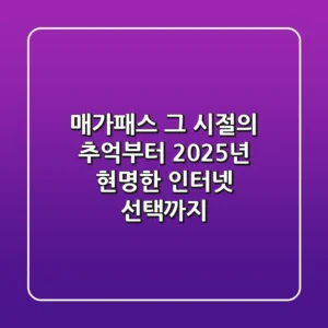 매가패스, 그 시절의 추억부터 2025년 현명한 인터넷 선택까지