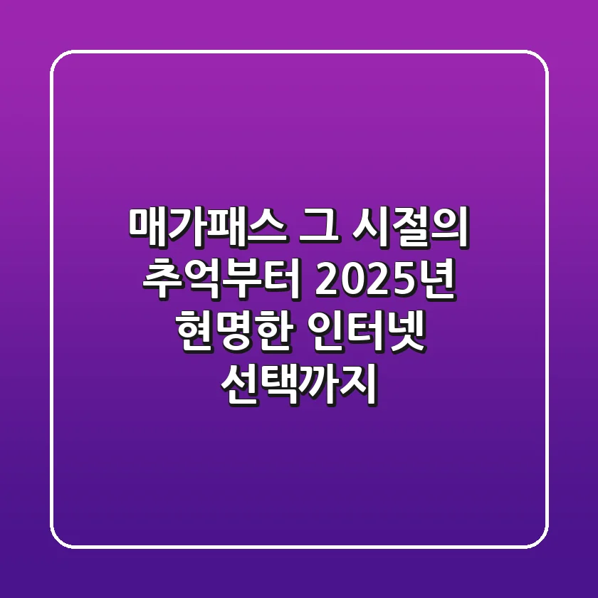 매가패스, 그 시절의 추억부터 2025년 현명한 인터넷 선택까지