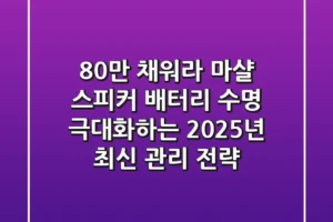 “80%만 채워라?”, 마샬 스피커 배터리 수명 극대화하는 2025년 최신 관리 전략